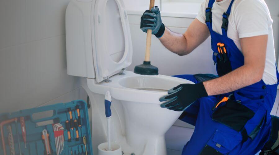 Professional sewer line repair services in Greer, AZ